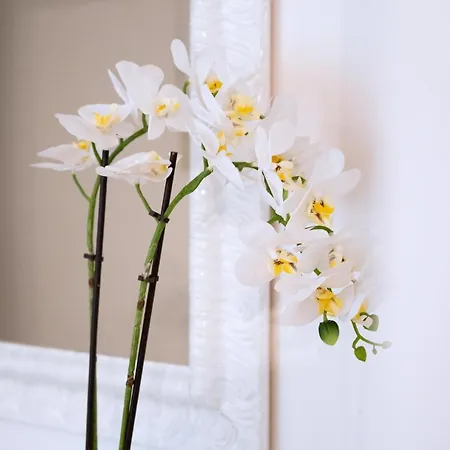 Fregoli Loft 22 Apartmán Boloňa